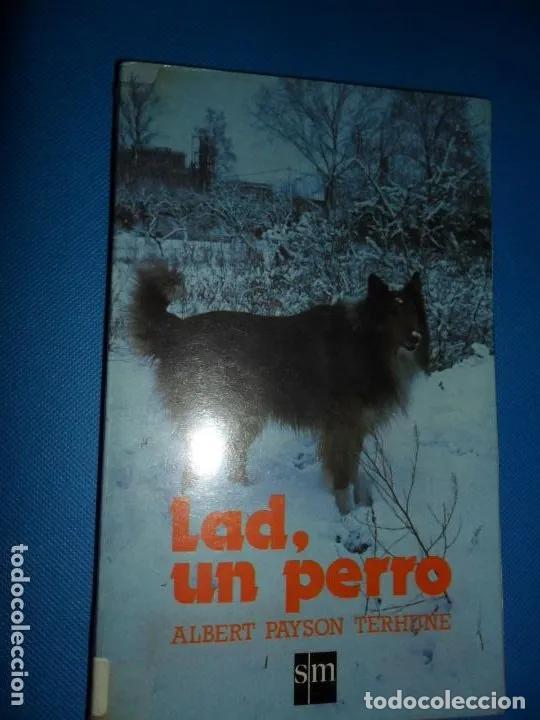 Libros: lad, un perro, Albert Payson Terhune, ed. SM - Albert Payson Terhune - Foto 1
