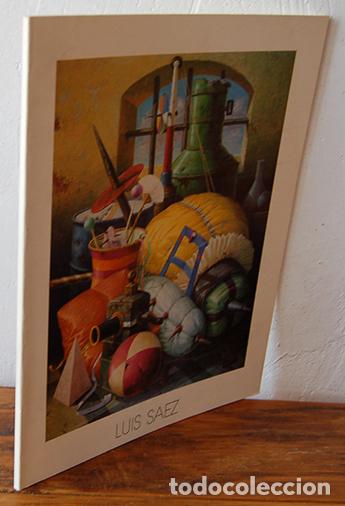 Libros: PINTURAS - LUIS SAEZ - Foto 1