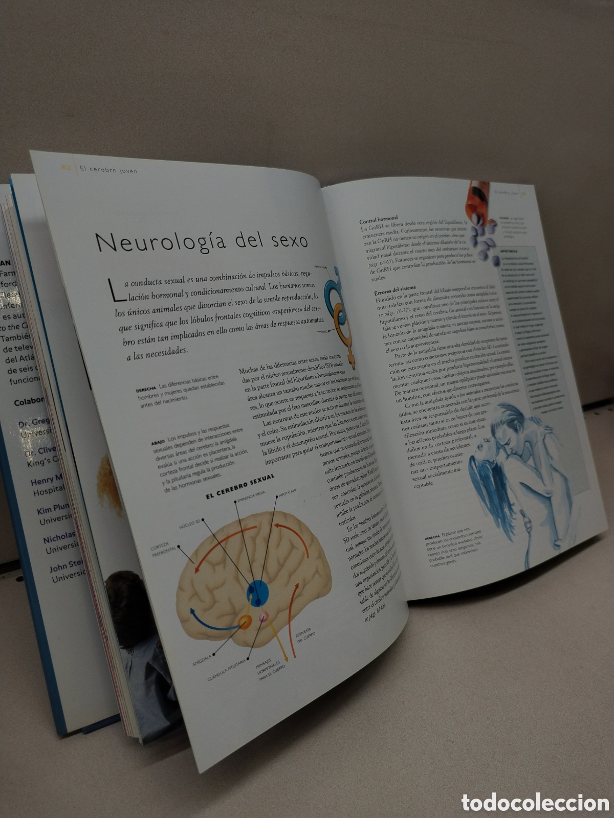 Libros: El poder del cerebro: C&oacute;mo funciona y qu&eacute; puede hacer la mente humana - Greenfield, Susan - Foto 2