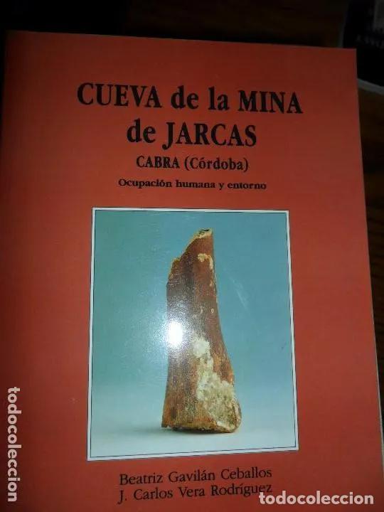 Libros: CUEVA DE LAS MINAS DE JARCA - Foto 1