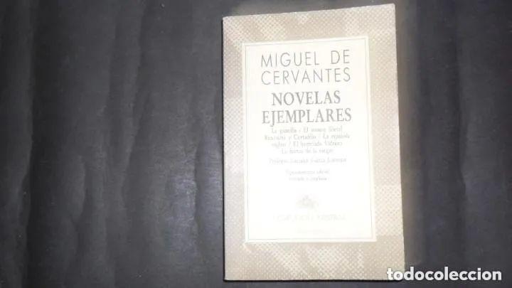 Libros: Novelas ejemplares - Miguel de Cervantes Saavedra - Foto 1