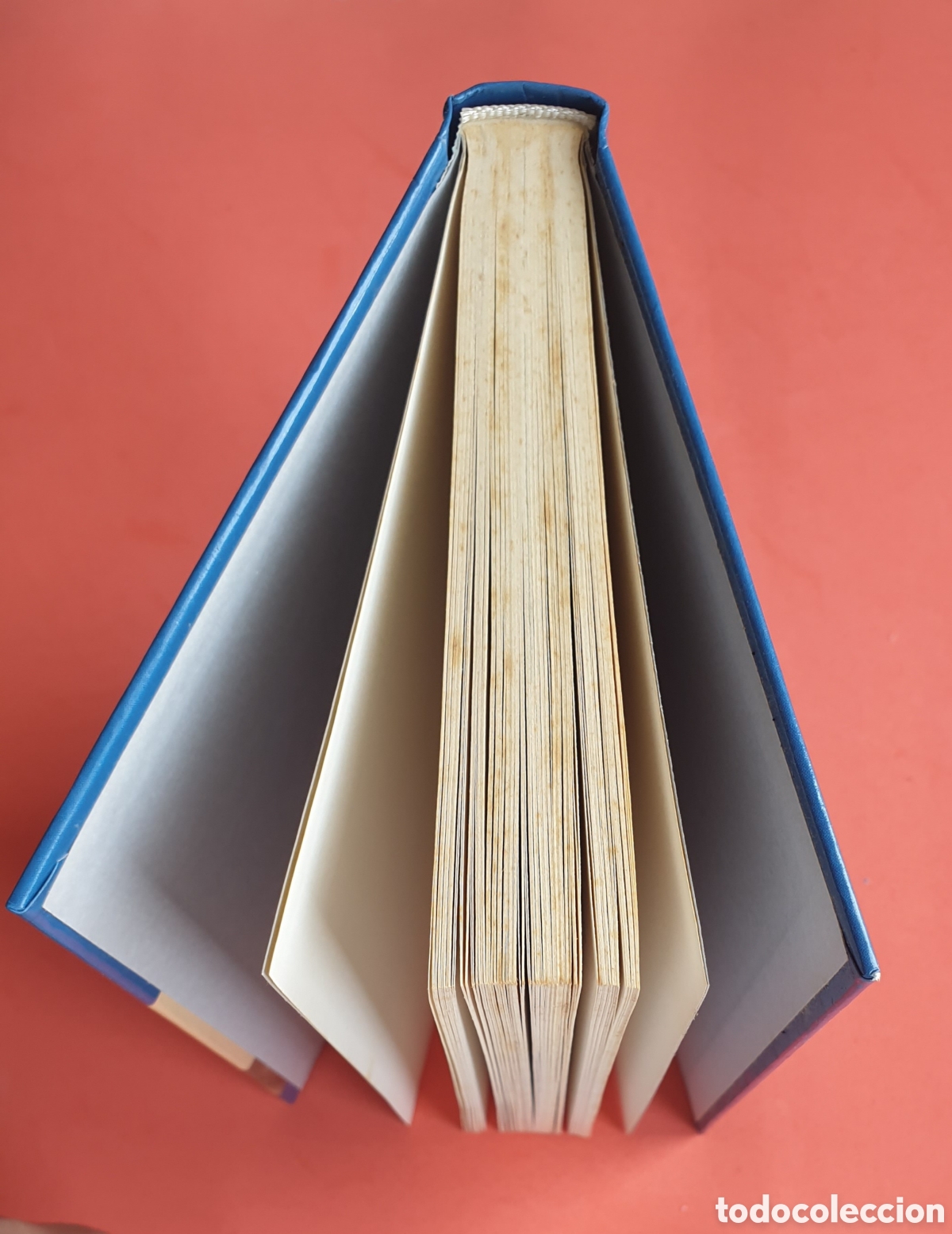 Libros: Rejas ocultas. Hameeda Lakho. RBA. - Foto 3