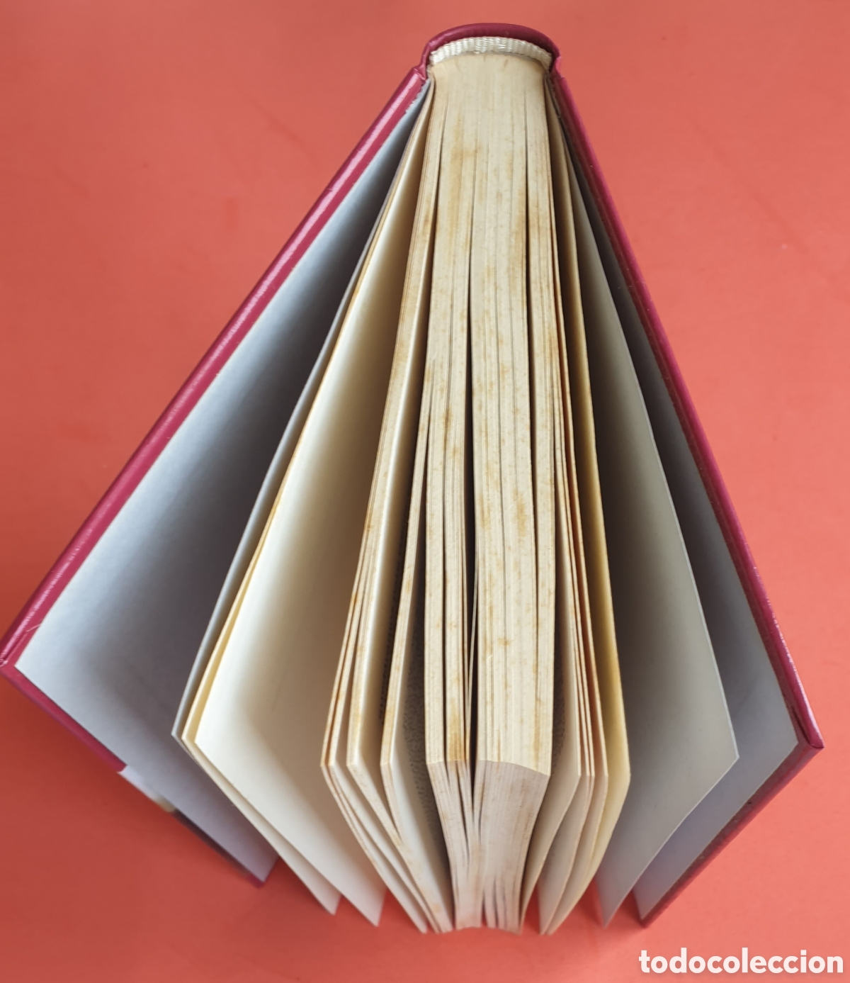 Libros: Gritos silenciosos. Paula Zubiaur. RBA. - Foto 3
