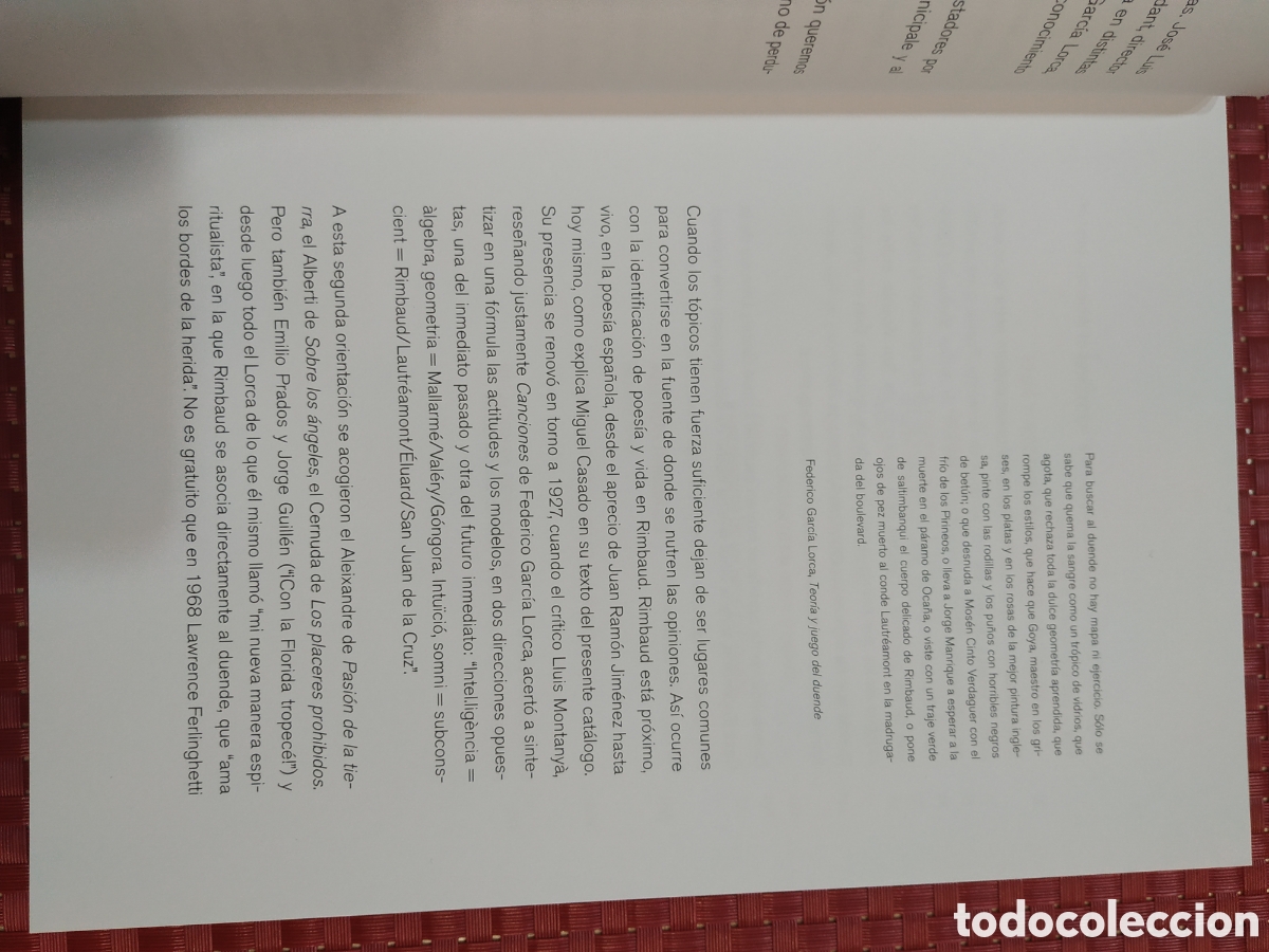 Libros: Vida y hechos de Arthur Rimbaud - Foto 4