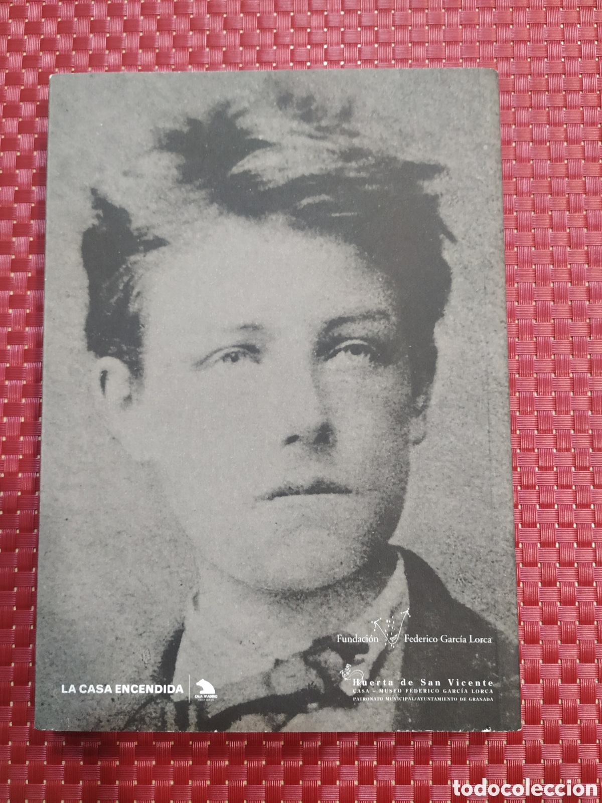 Libros: Vida y hechos de Arthur Rimbaud - Foto 5