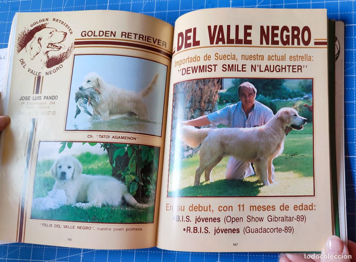 Libros: GUIA DEL PERRO 1990 - ED. CINOFILIA - Foto 3