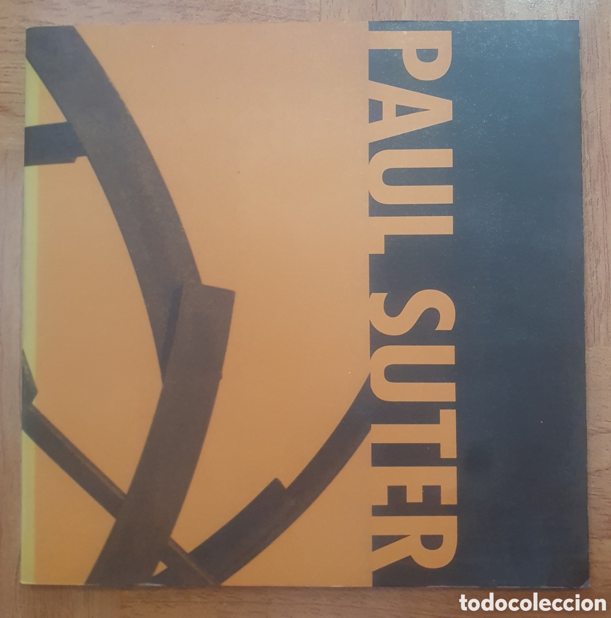 Libros: Paul Suter: Esculturas - VV. AA. - Foto 1
