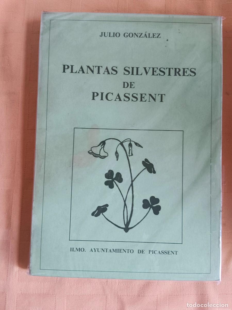 Libros: PLANTAS SILVESTRES DE PICASSENT - Julio Gonzalez - Foto 1