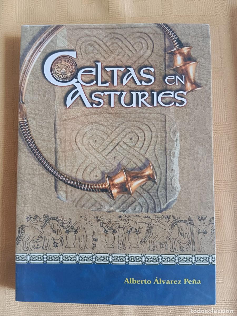Libros: CELTAS EN ASTURIES - Alberto Alvarez Pe&ntilde;a - Foto 1