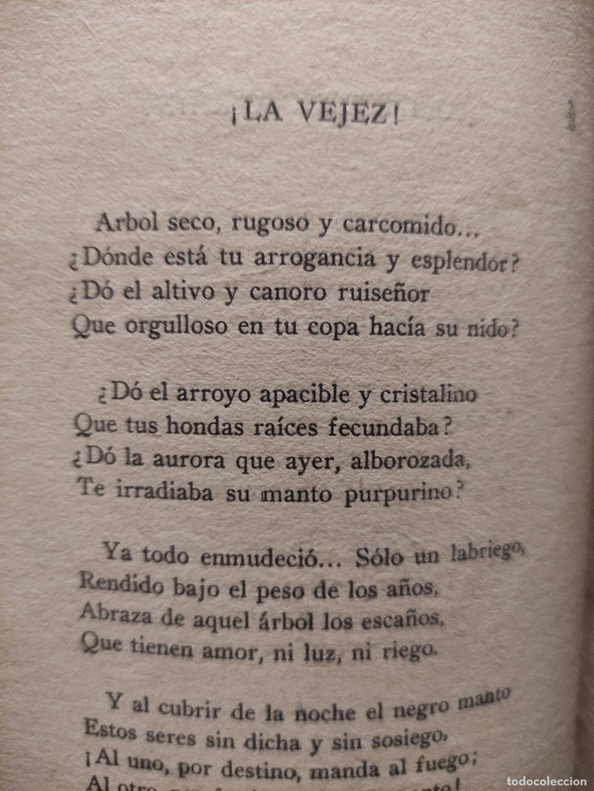 Libros: LA ETERNA COMEDIA - JOSE AGUSTIN PONDAL - Foto 2