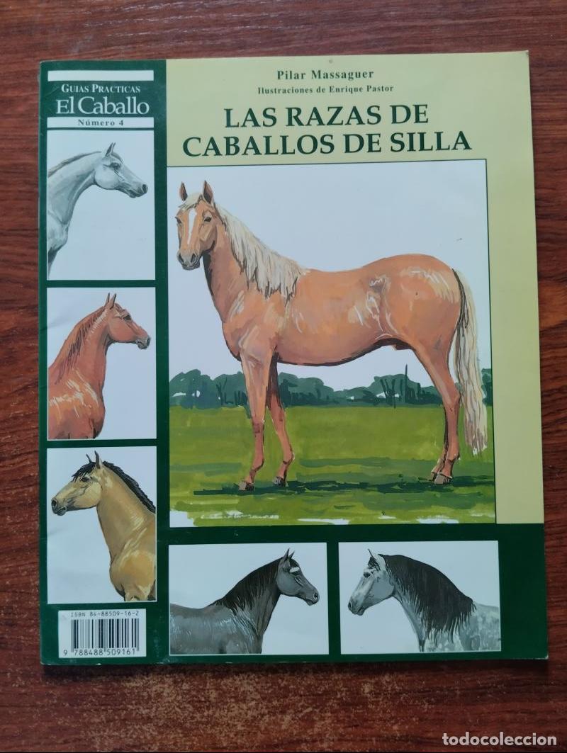 Libros: Las razas de caballos de silla - Pilar Massaguer - Foto 1