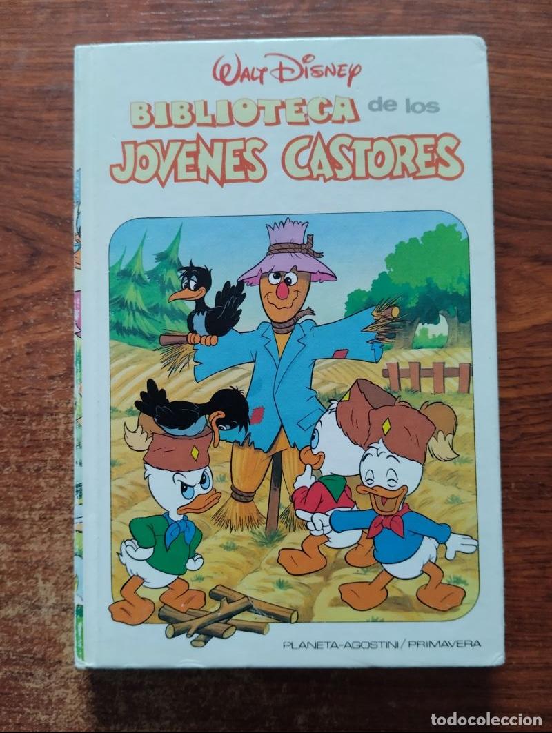 Libros: Walt Disney. Biblioteca de los j&oacute;venes castores 8 - Foto 1