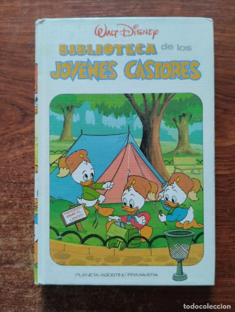 Libros: Walt Disney. Biblioteca de los j&oacute;venes castores 5 - Foto 1