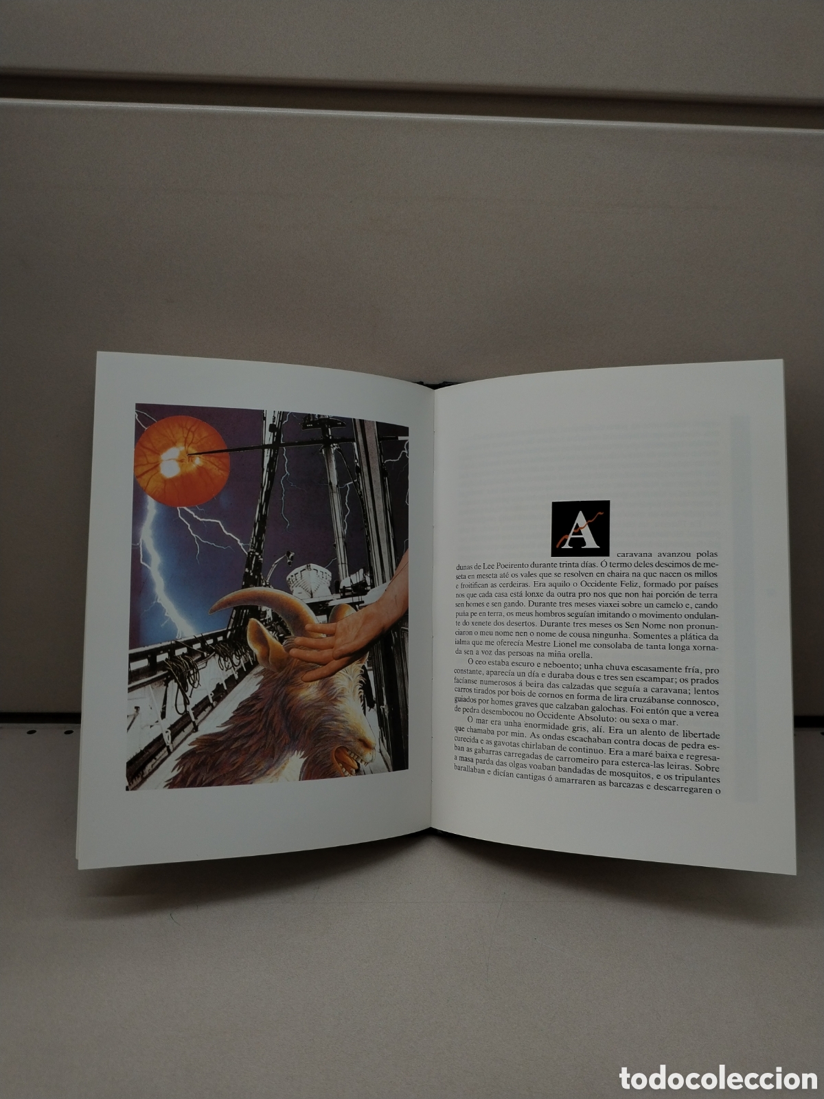 Libros: Arnoia, arnoia - MENDEZ FERMIN - Foto 2