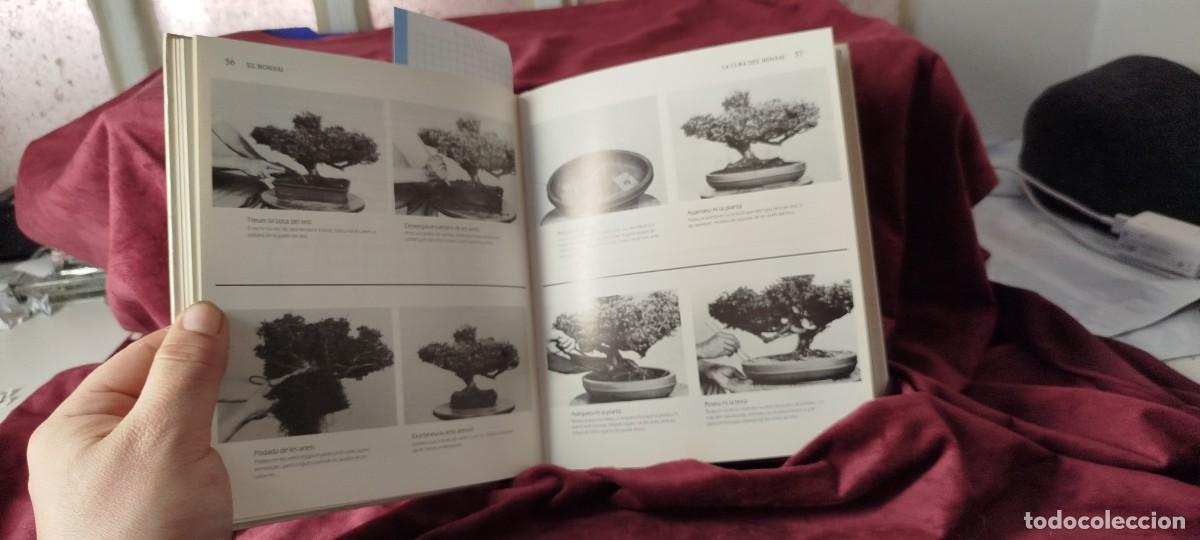 Libros: Com Conrear I Tenir Cura Del Bonsai - Foto 3