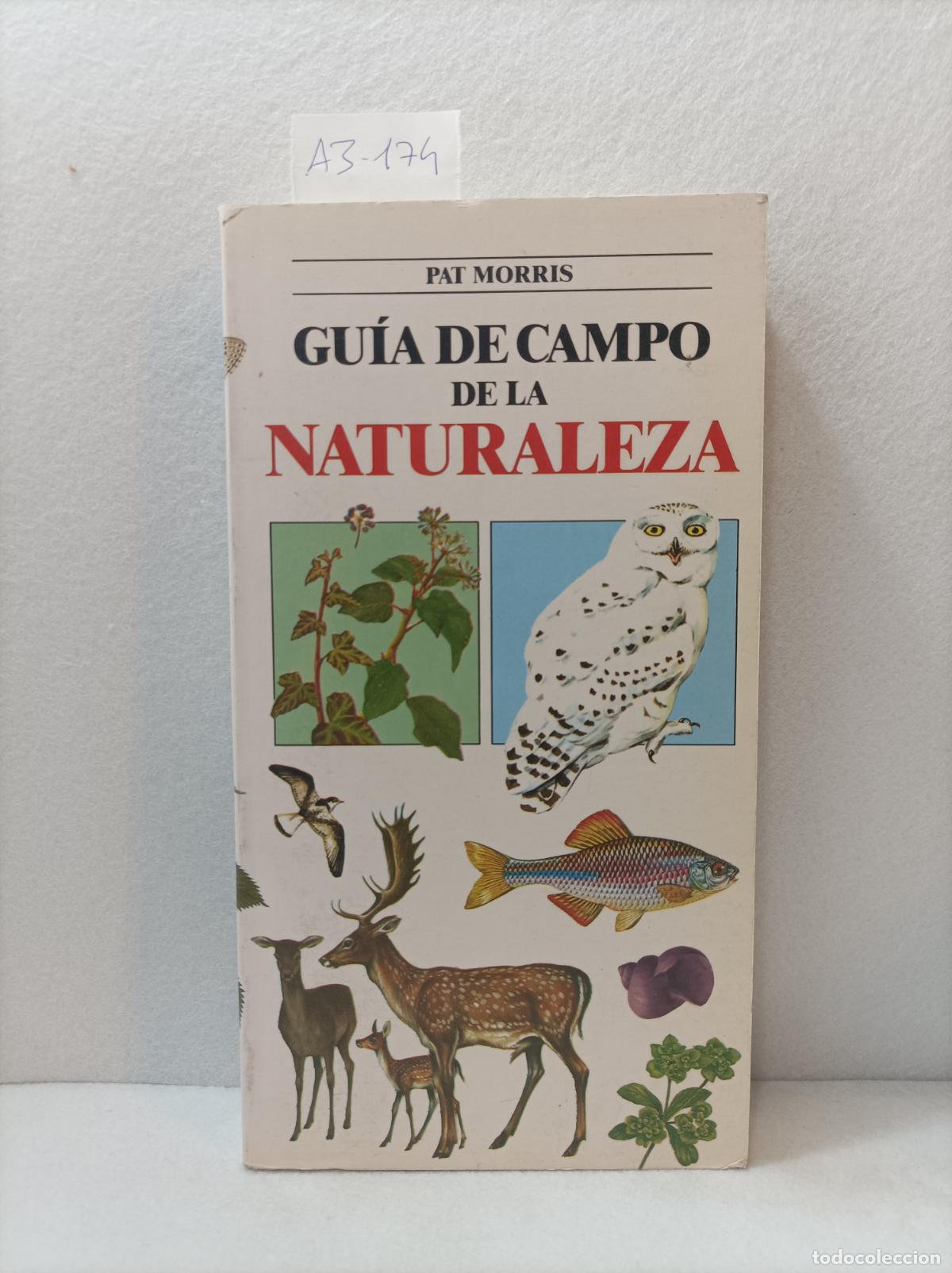 Libros: MORRIS, Pat: - Gu&iacute;a de campo de la naturaleza. - Foto 2
