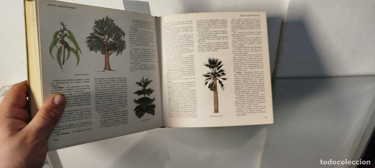 Libros: El libro del jard&iacute;n y de la terraza - Foto 4