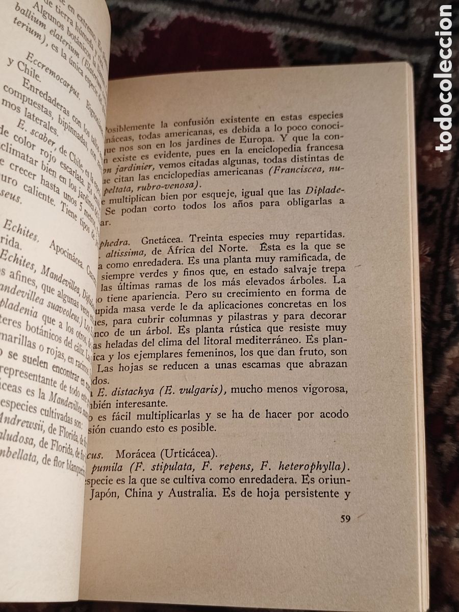 Libros: Las enredaderas en los jardines Noel Claras&oacute; - Foto 2