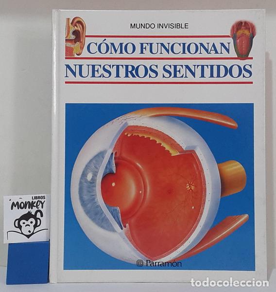 Libros: C&oacute;mo funcionan nuestros sentidos. Mundo Visible - Jaume Ripoll - Foto 1