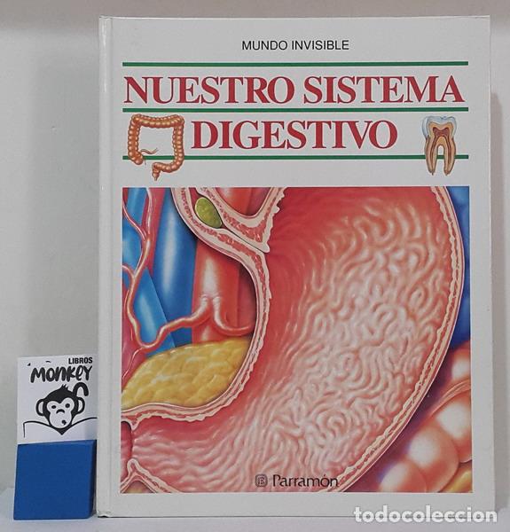 Libros: Nuestro sistema digestivo. Mundo Visible - Merc&egrave; Parram&oacute;n - Foto 1