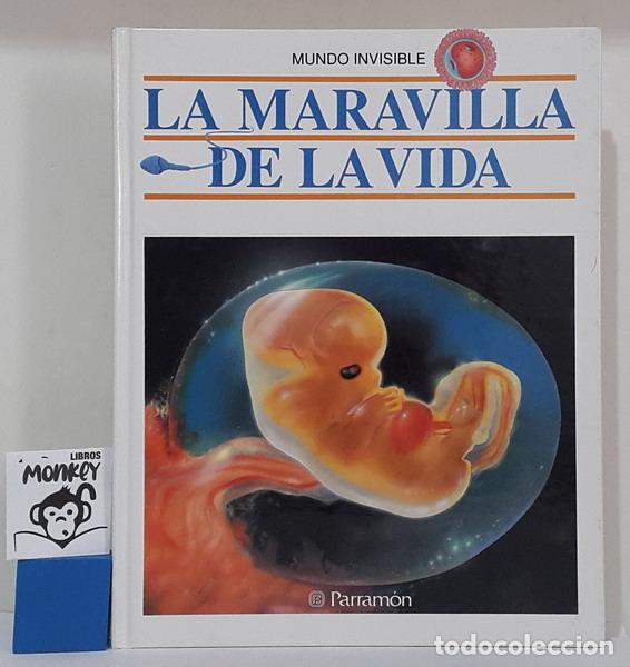Libros: La maravilla de la vida. Mundo Visible - Merc&egrave; Parram&oacute;n - Foto 1