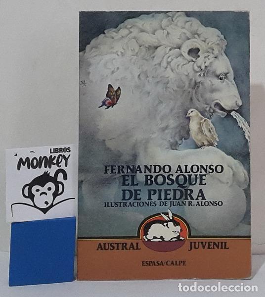 Libros: El Bosque de Piedra - Fernando Alonso - Foto 1