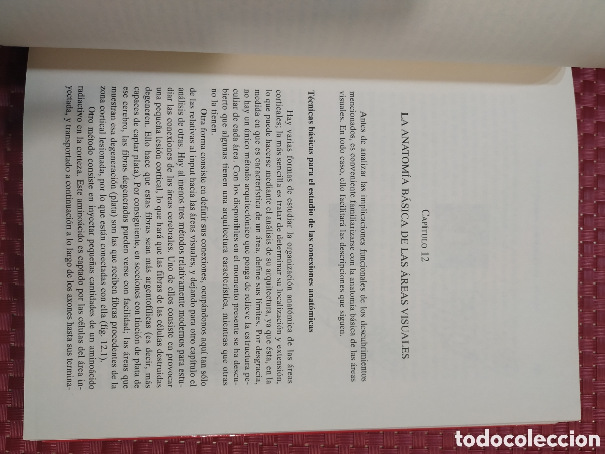 Libros: Una visi&oacute;n del cerebro. Semir Zeki - Foto 3
