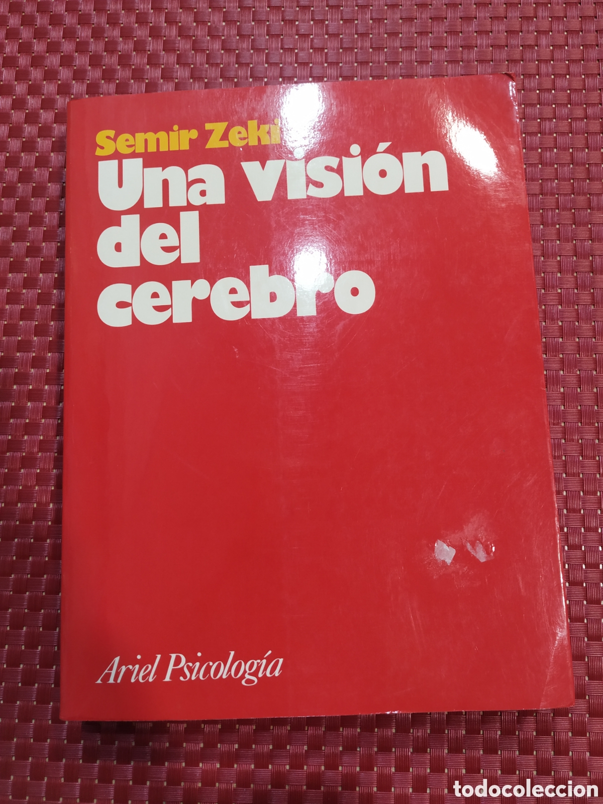 Libros: Una visi&oacute;n del cerebro. Semir Zeki - Foto 1