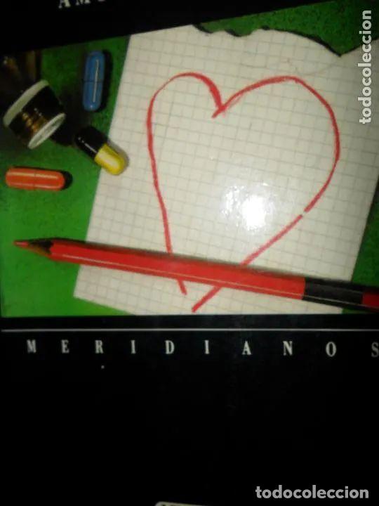 Libros: Amores iguales, David Leavitt, ed. Versal - David Leavitt - Foto 1