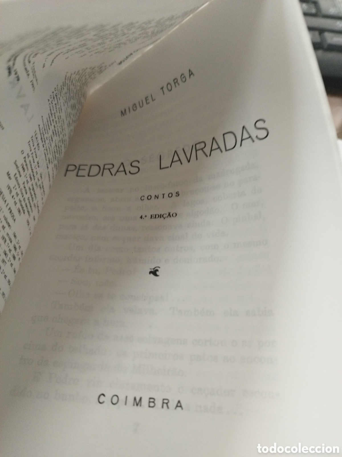 Libros: PEDRAS LAVRADAS. Contos - TORGA,Miguel - Foto 4