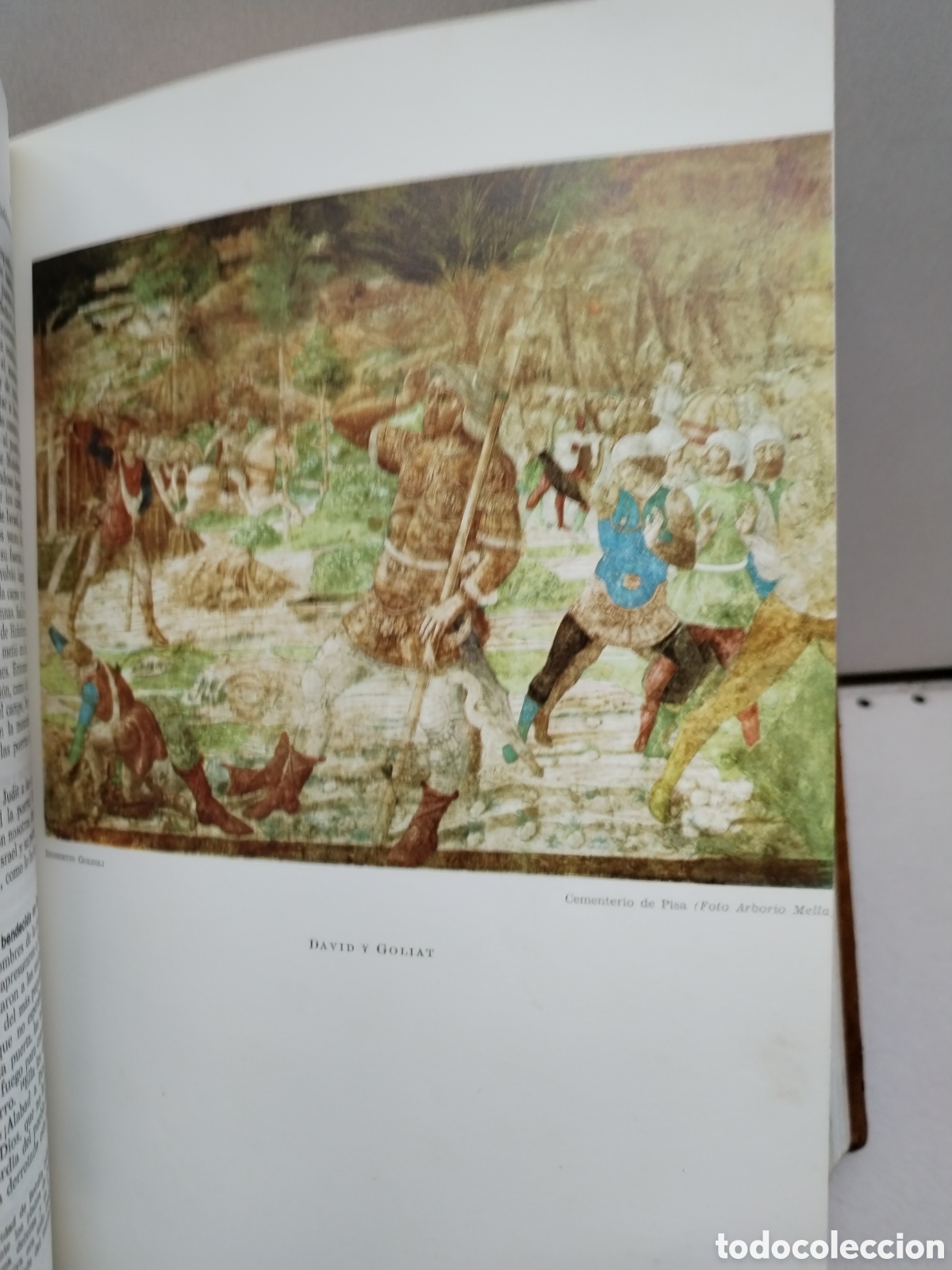 Libros: LA SANTA BIBLIA - Foto 5