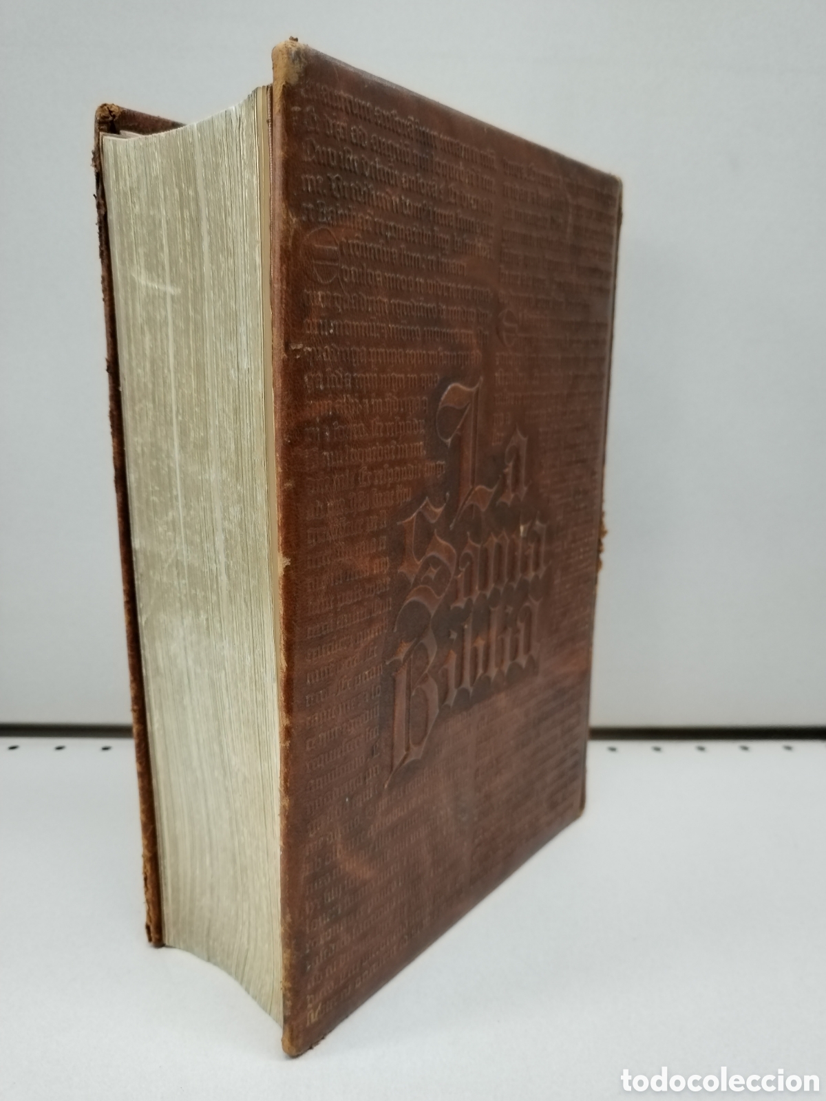 Libros: LA SANTA BIBLIA - Foto 6