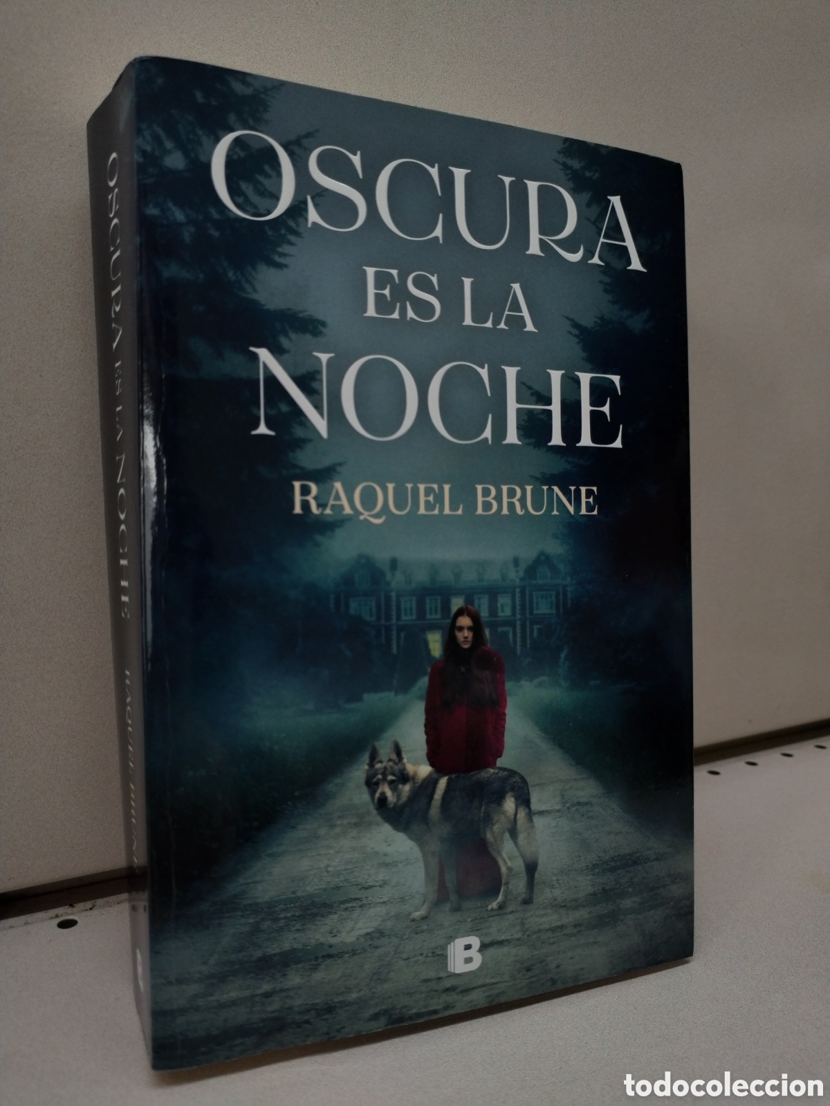 Libros: Oscura es la noche - Brune, Raquel - Foto 1