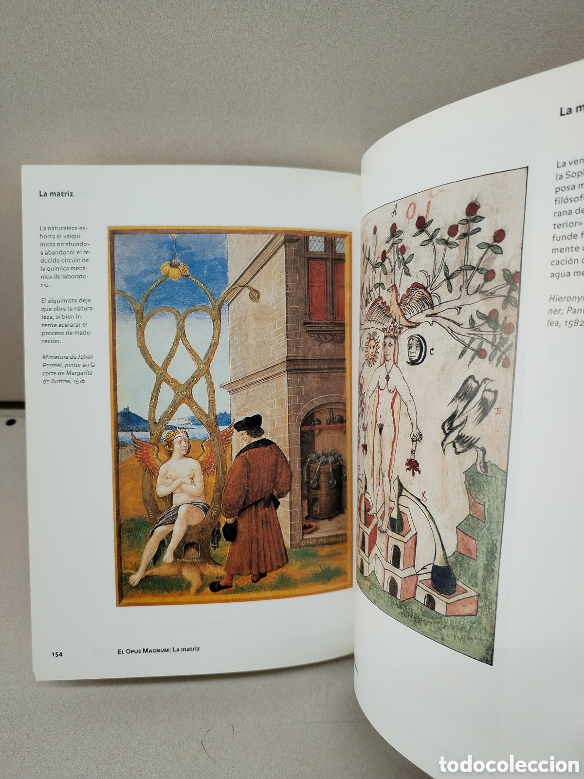 Libros: Alquimia Y Mistica - Roob, Alexander - Foto 2