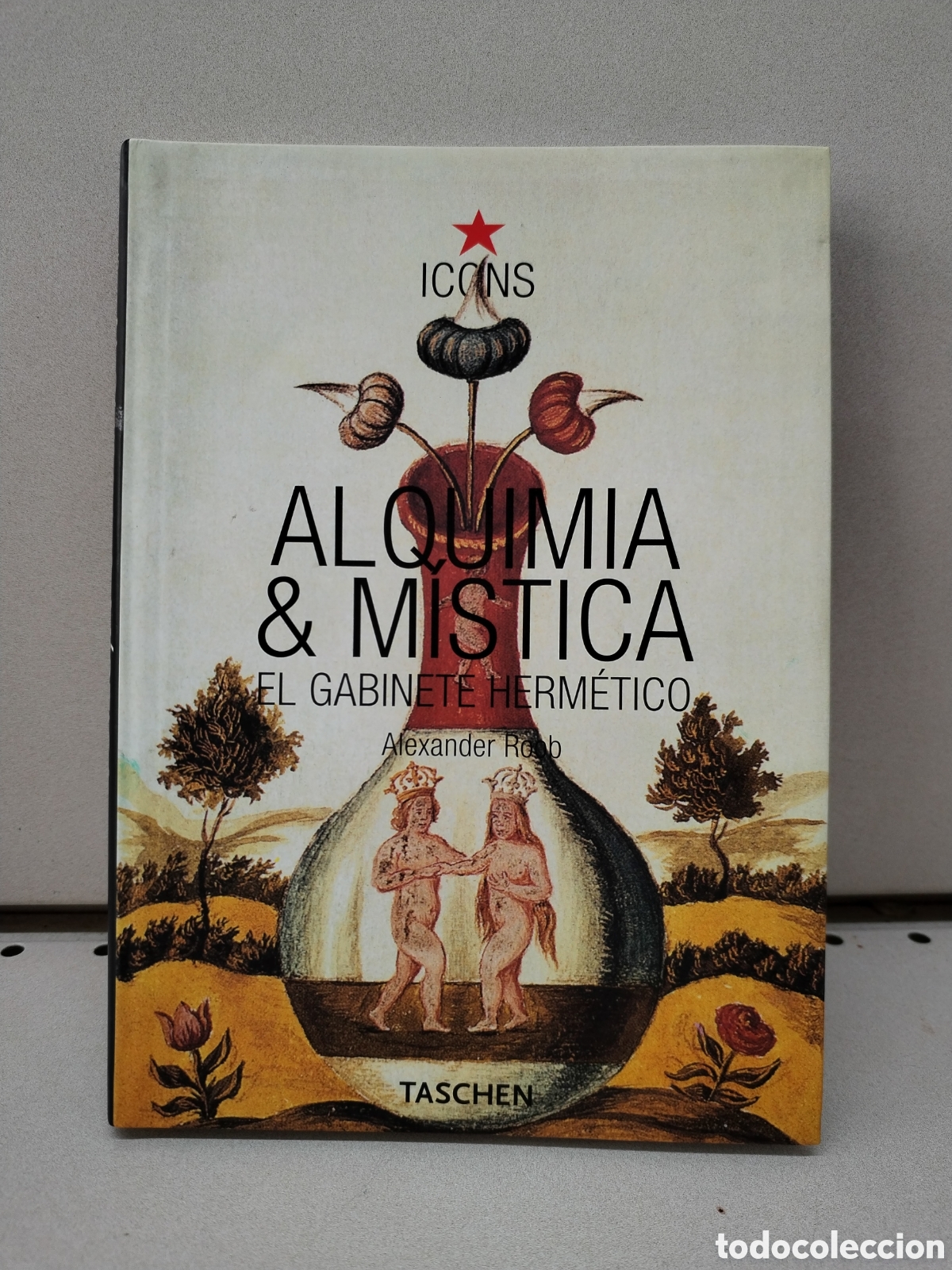 Libros: Alquimia Y Mistica - Roob, Alexander - Foto 1