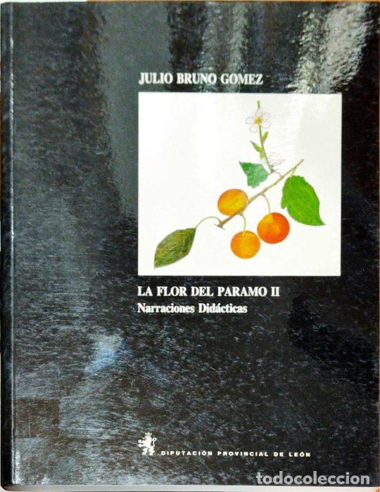 Libros: La flor del P&aacute;ramo II Narraciones Did&aacute;cticas - BRUNO, GONZ&Aacute;LEZ, JULIO - Foto 1