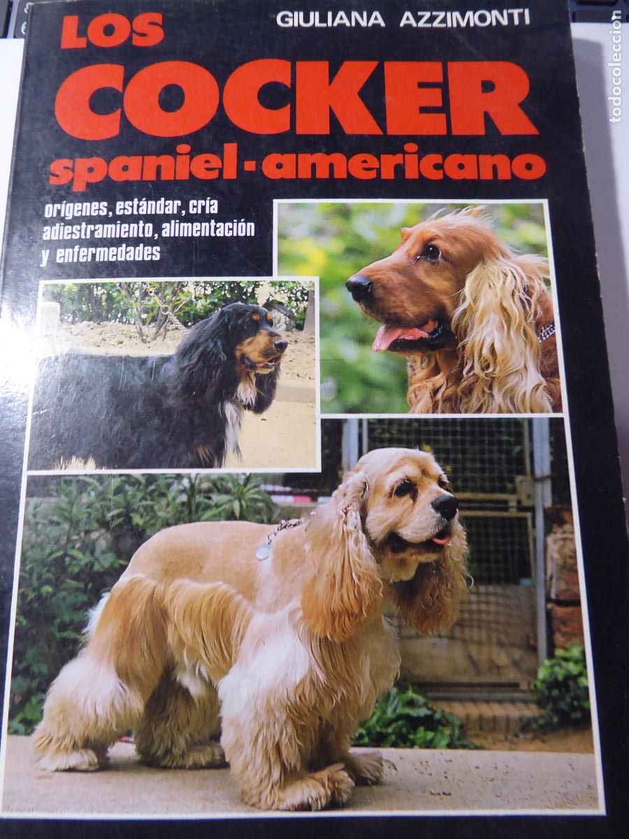 Libros: LOS COCKER SPANIEL-AMERICANO. GIULIANA AZZIMONTI. - Foto 1