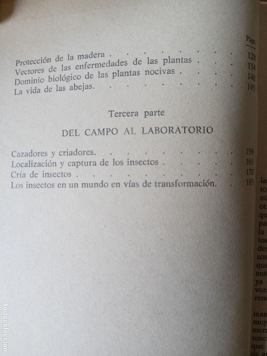 Libros: El mundo de los insectos - L.Hugh Newman - Foto 3