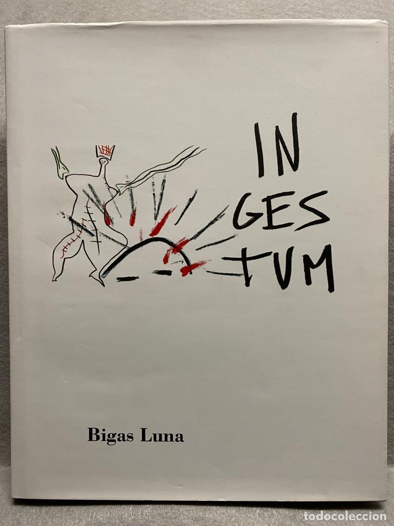 Libros: INGESTUM IVAM cat&aacute;logo. - BIGAS LUNA. - Foto 1