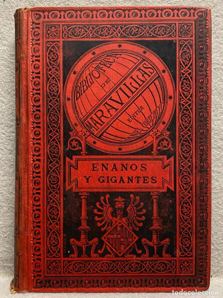 Libros: ENANOS Y GIGANTES. - GARNIER, EDUARDO. - Foto 1