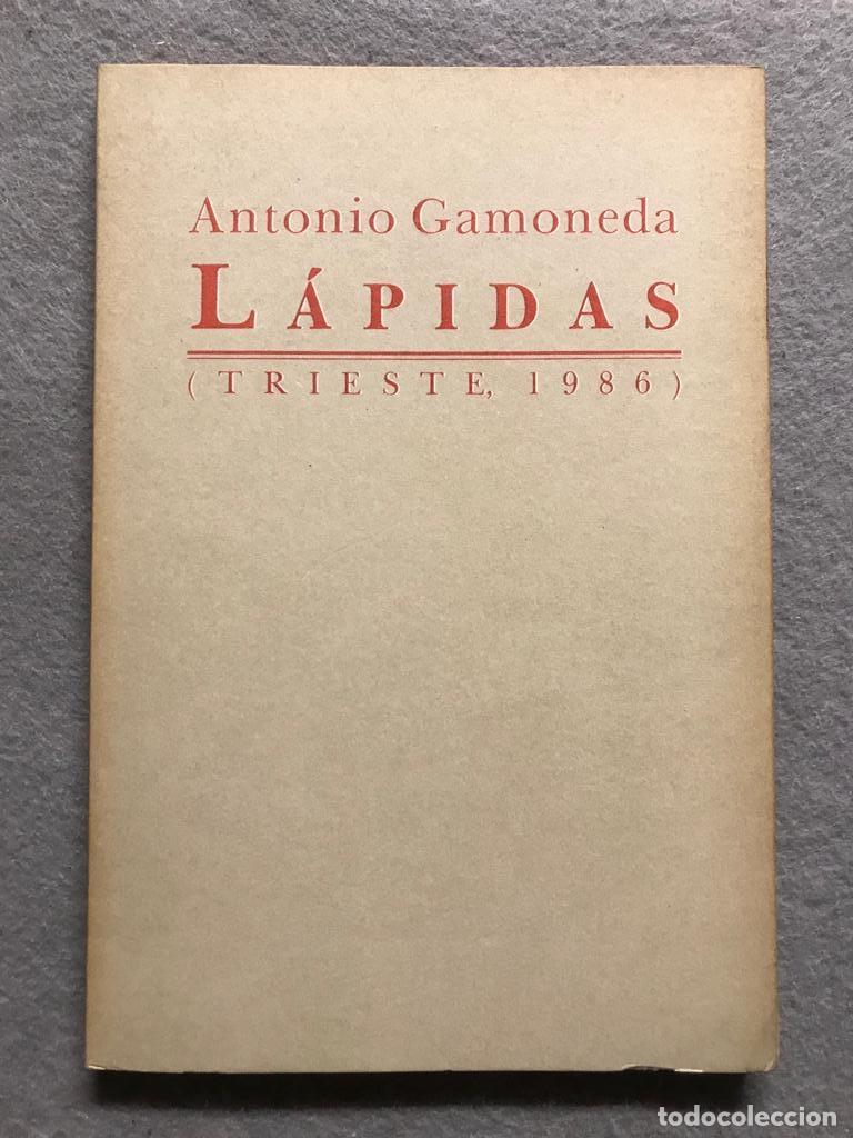 Libros: L&Aacute;PIDAS. - GAMONEDA, ANTONIO. - Foto 1
