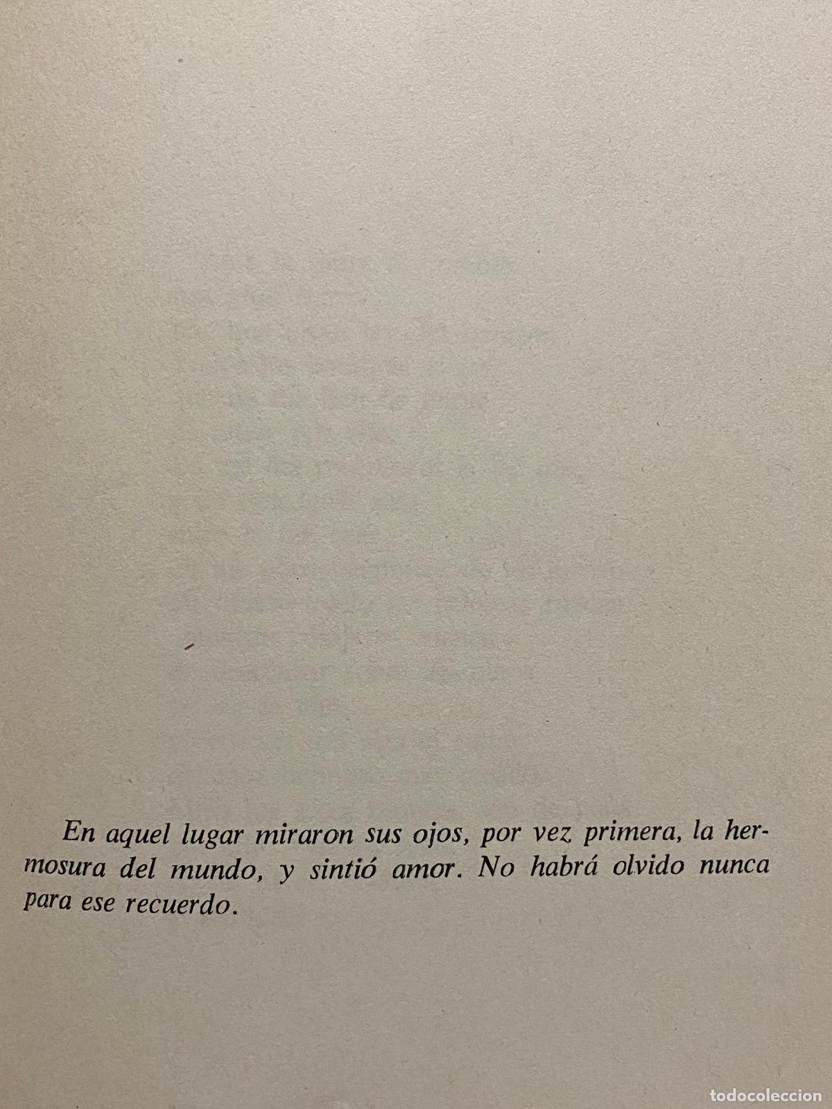 Libros: PALABRAS A LA OSCURIDAD. 1&ordf; edici&oacute;n. - BRINES, FRANCISCO. - Foto 6