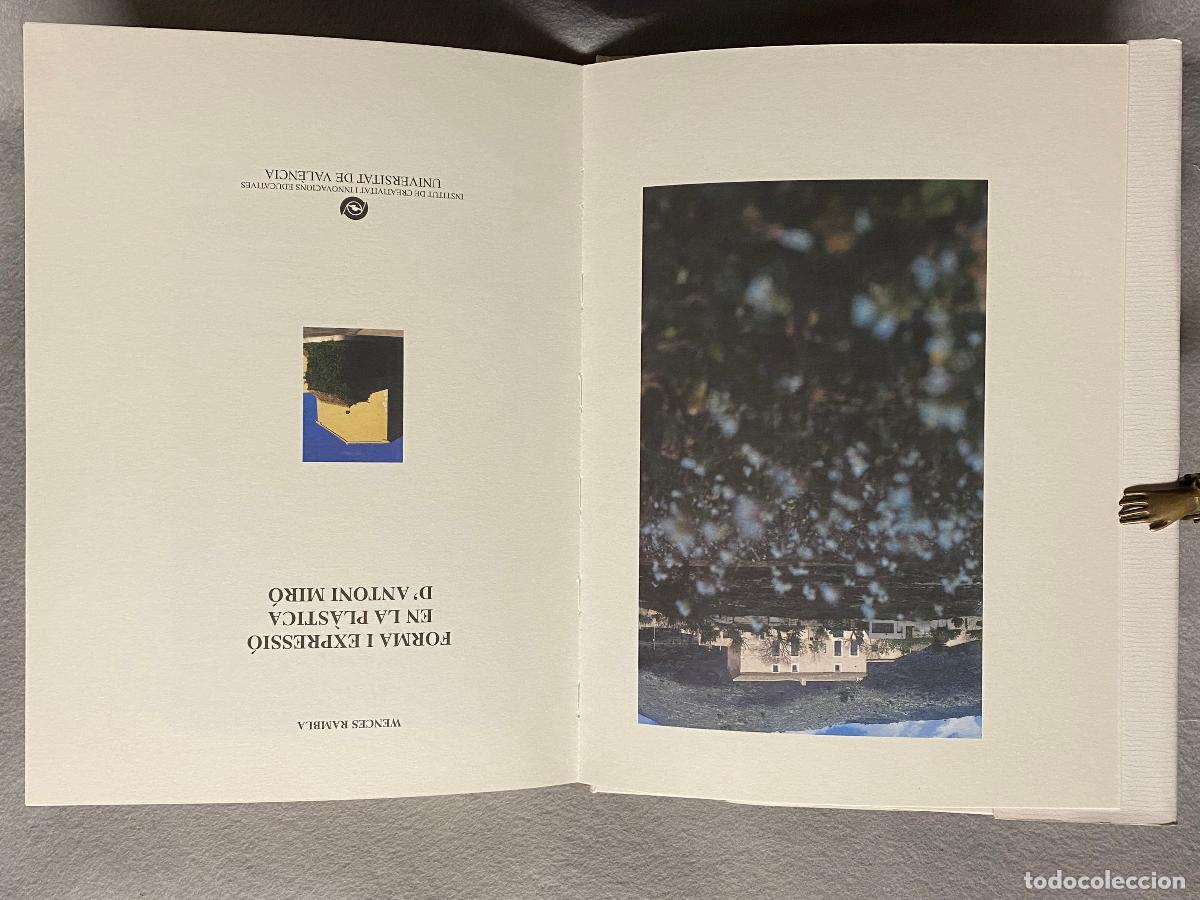 Libros: FORMA Y EXPRESI&Oacute;N EN LA PL&Aacute;STICA D&acute;ANTONI MIR&Oacute;. - RAMBLA, WENCES. - Foto 3