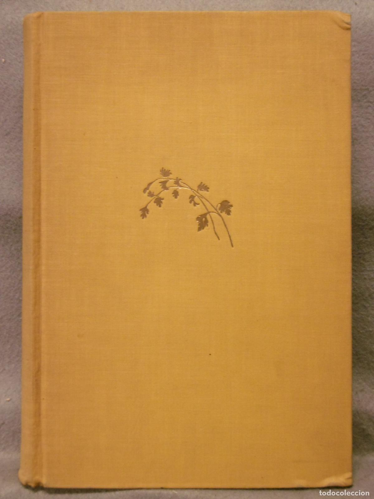 Libros: CANCI&Oacute;N. Primera edici&oacute;n. - JIMENEZ, JUAN RAM&Oacute;N. - Foto 3