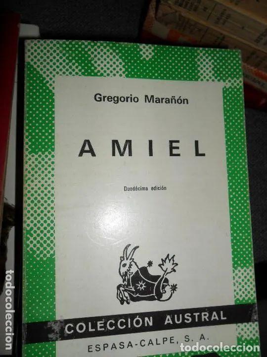 Libros: Amiel, Gregorio Mara&ntilde;&oacute;n, colecci&oacute;n Austral - Gregorio Mara&ntilde;&oacute;n - Foto 1