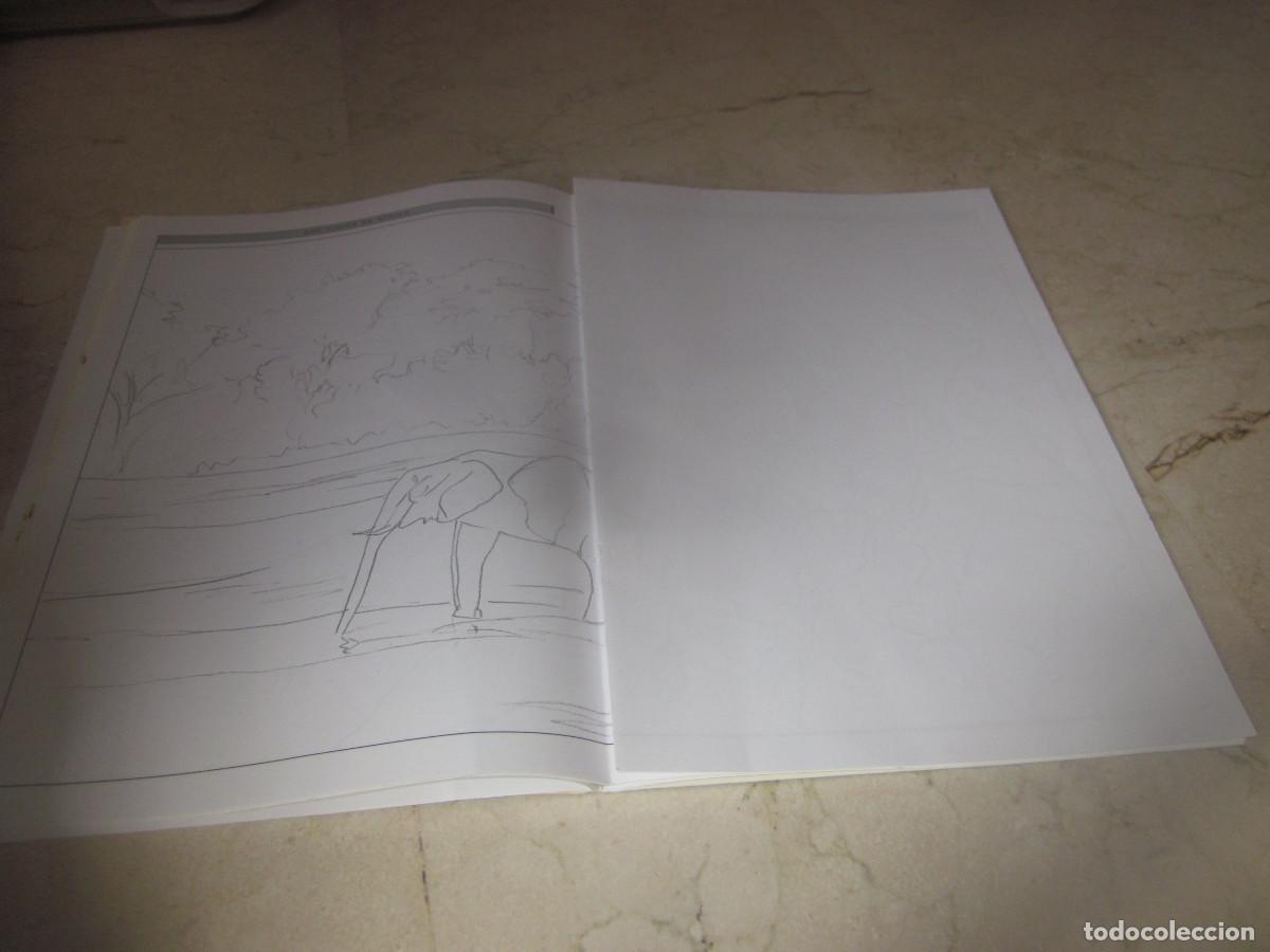 Libros: PINTAR FACIL OLEO 2 - PARRAMON - Foto 3