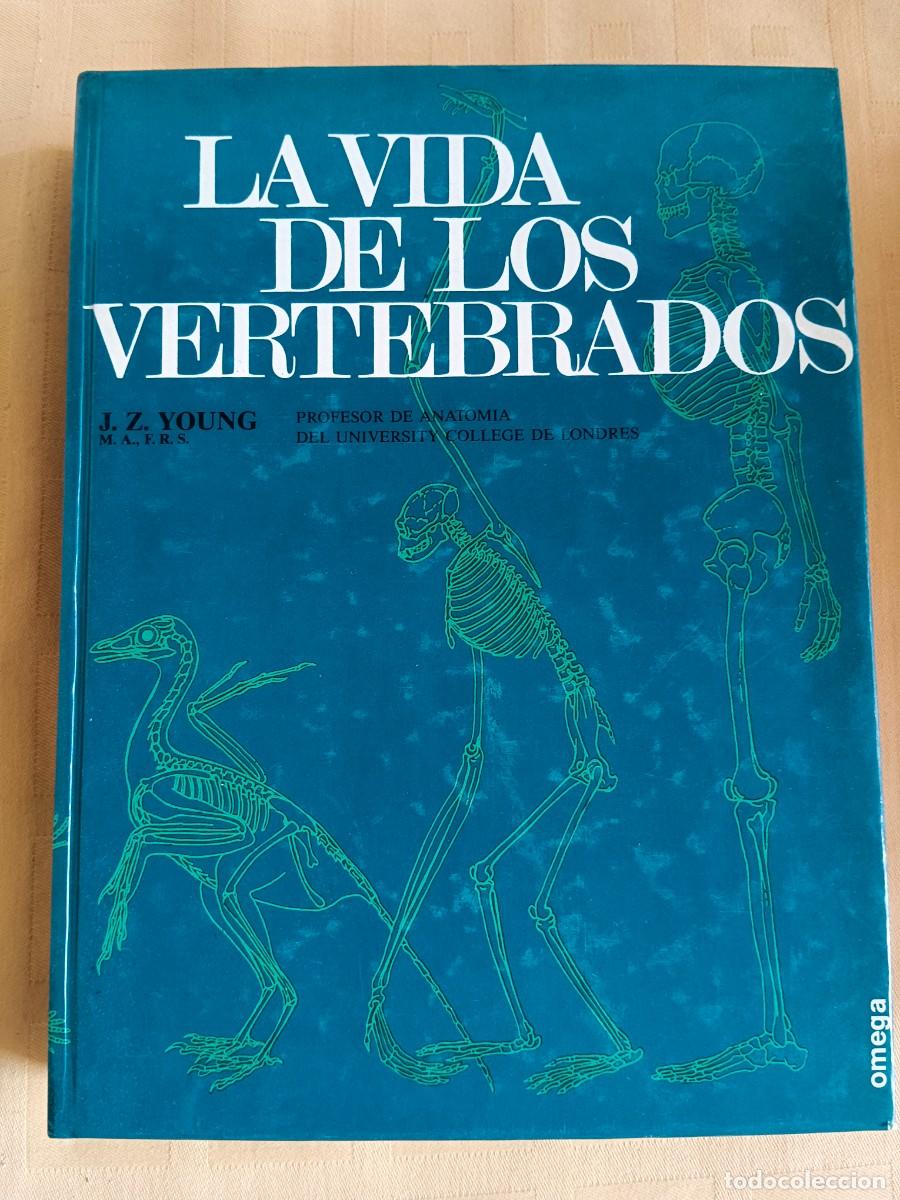 Libros: LA VIDA DE LOS VERTEBRADOS - J. Z. Young - Foto 1