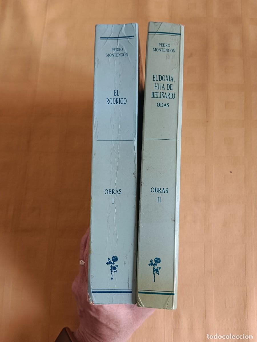 Libros: OBRAS - 2 TOMOS - Pedro Montengon - Foto 1
