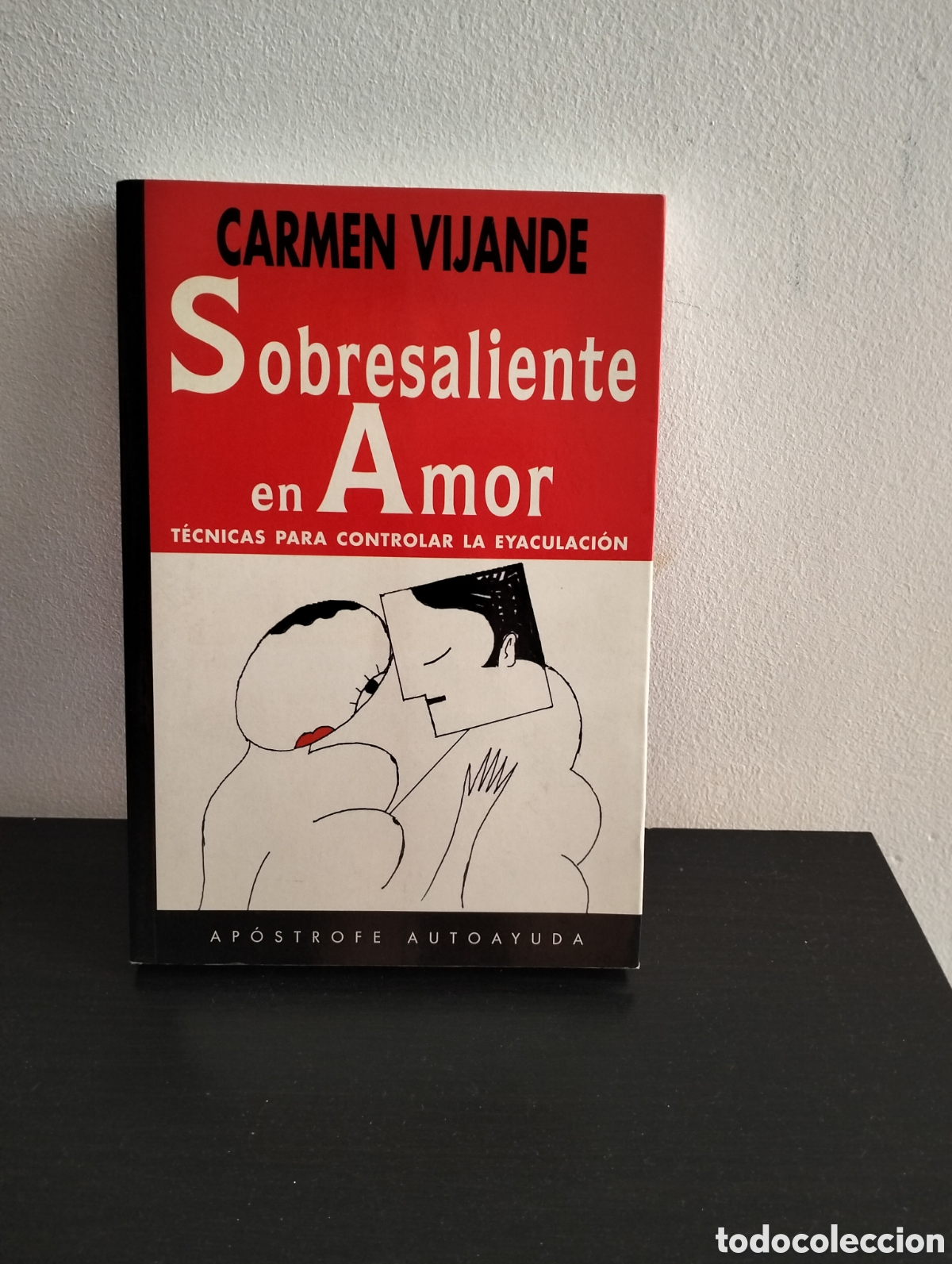 Libros: Carmen Vijande - Sobresaliente en amor - ap&oacute;strofe 1997 - Foto 1