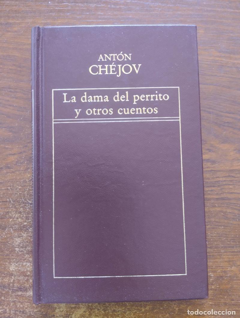 Libros: La dama del perrito y otros cuentos - Ant&oacute;n Ch&eacute;jov - Foto 1
